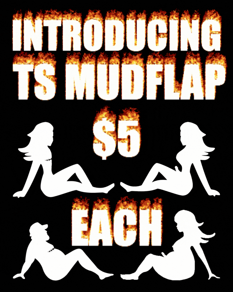 TS Mudflap Pre-Order