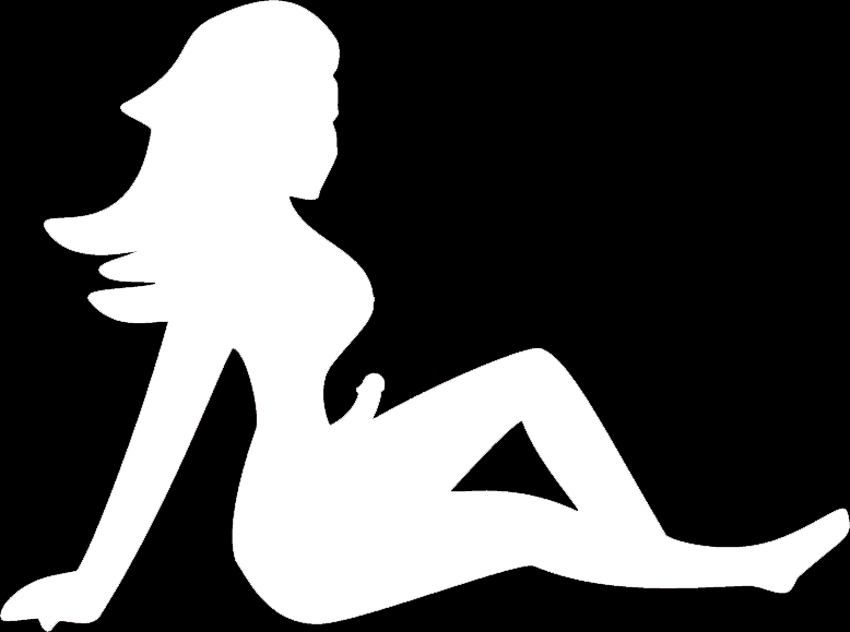 TS Mudflap Pre-Order - Image 3