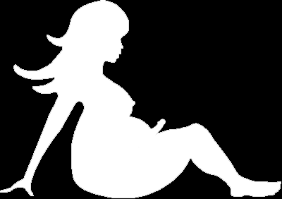 TS Mudflap Pre-Order - Image 4